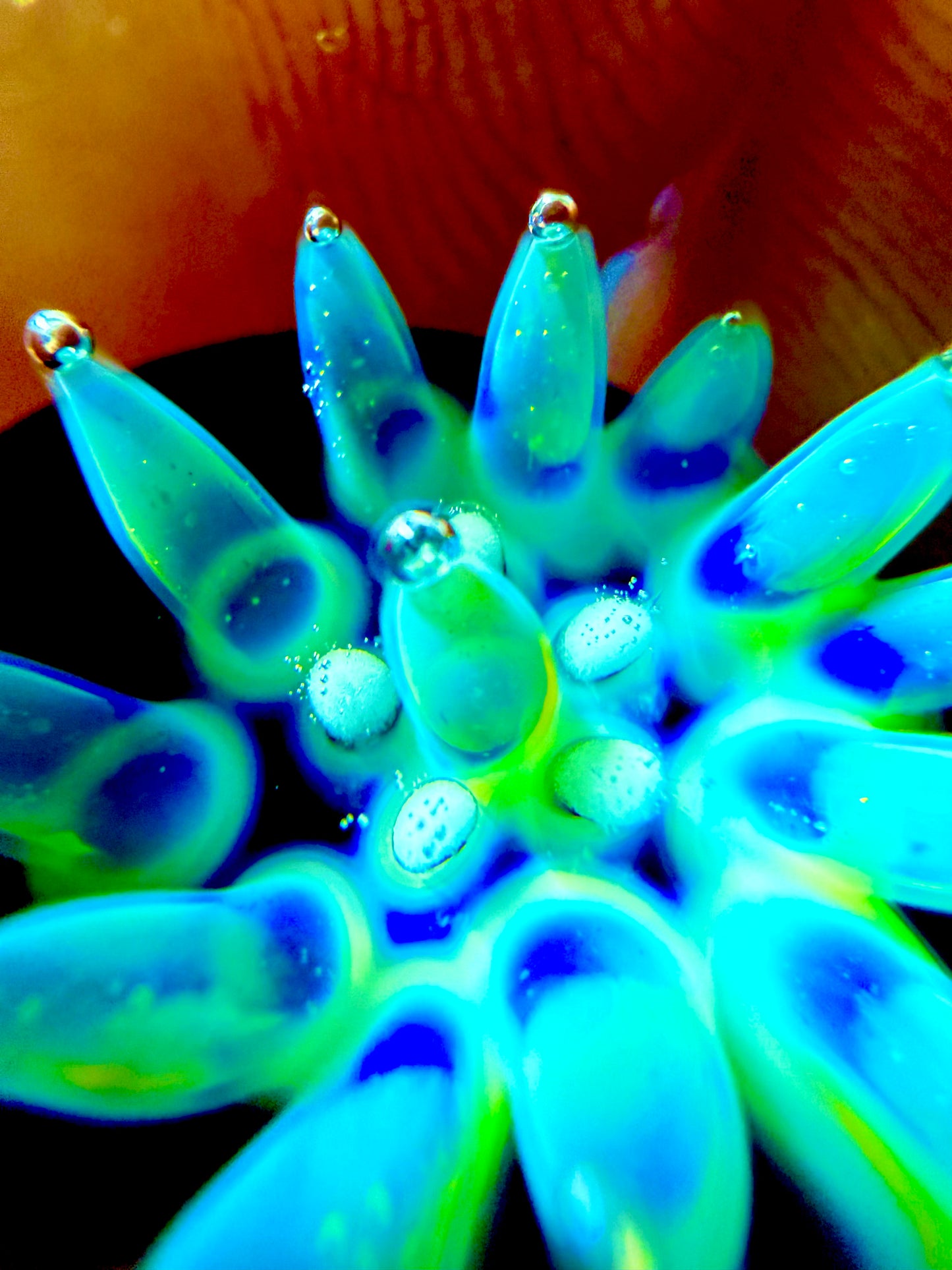Neon Tide Sea Anemone Carb Cap Marble πβ¨