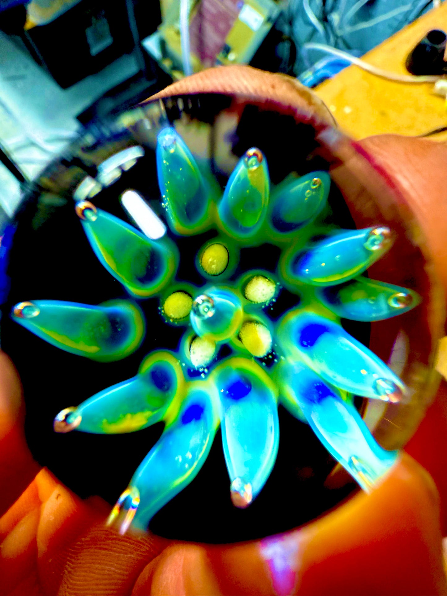 Neon Tide Sea Anemone Carb Cap Marble πβ¨