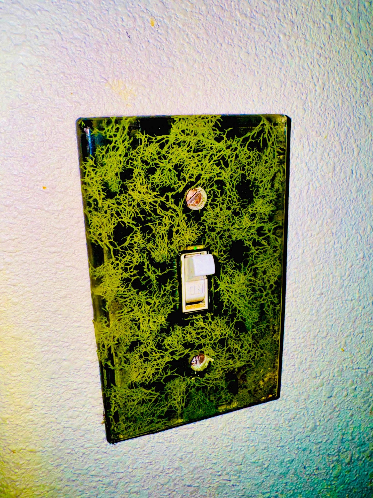 Moss Lightswitch Cover | Home Decor