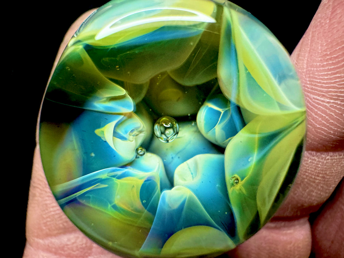 Reverse Aneome